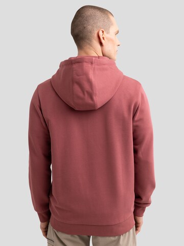 BIG STAR Sweatshirt 'Artish' in Roze