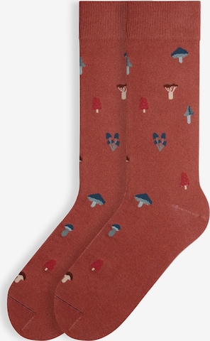 Von Jungfeld Socken 'Signature Icons' in Braun: Vorderseite
