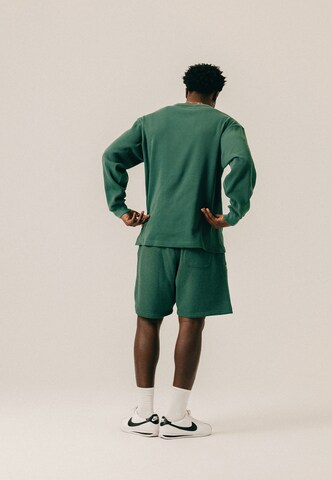 BLKVIS Normální Kalhoty – zelená