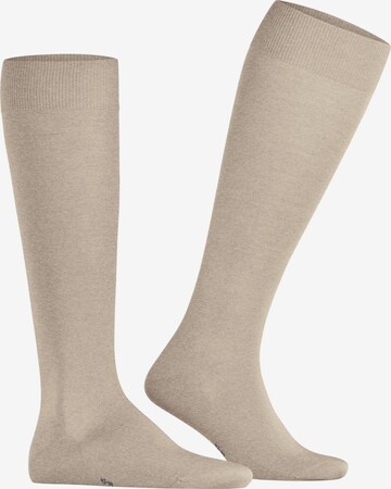 FALKE Knee High Socks 'ClimaWool' in Beige: front