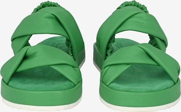 Crickit Sandalen met riem 'JANEKE' in Groen