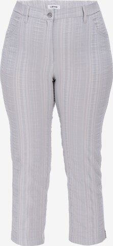 KjBRAND Regular Pants in Grey: front
