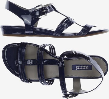 ECCO Sandals & High-Heeled Sandals in 38 in Blue: front