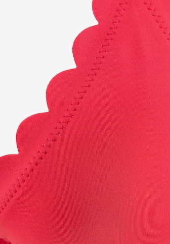 LASCANA Trójkąt Góra bikini 'Scallop' w kolorze czerwony