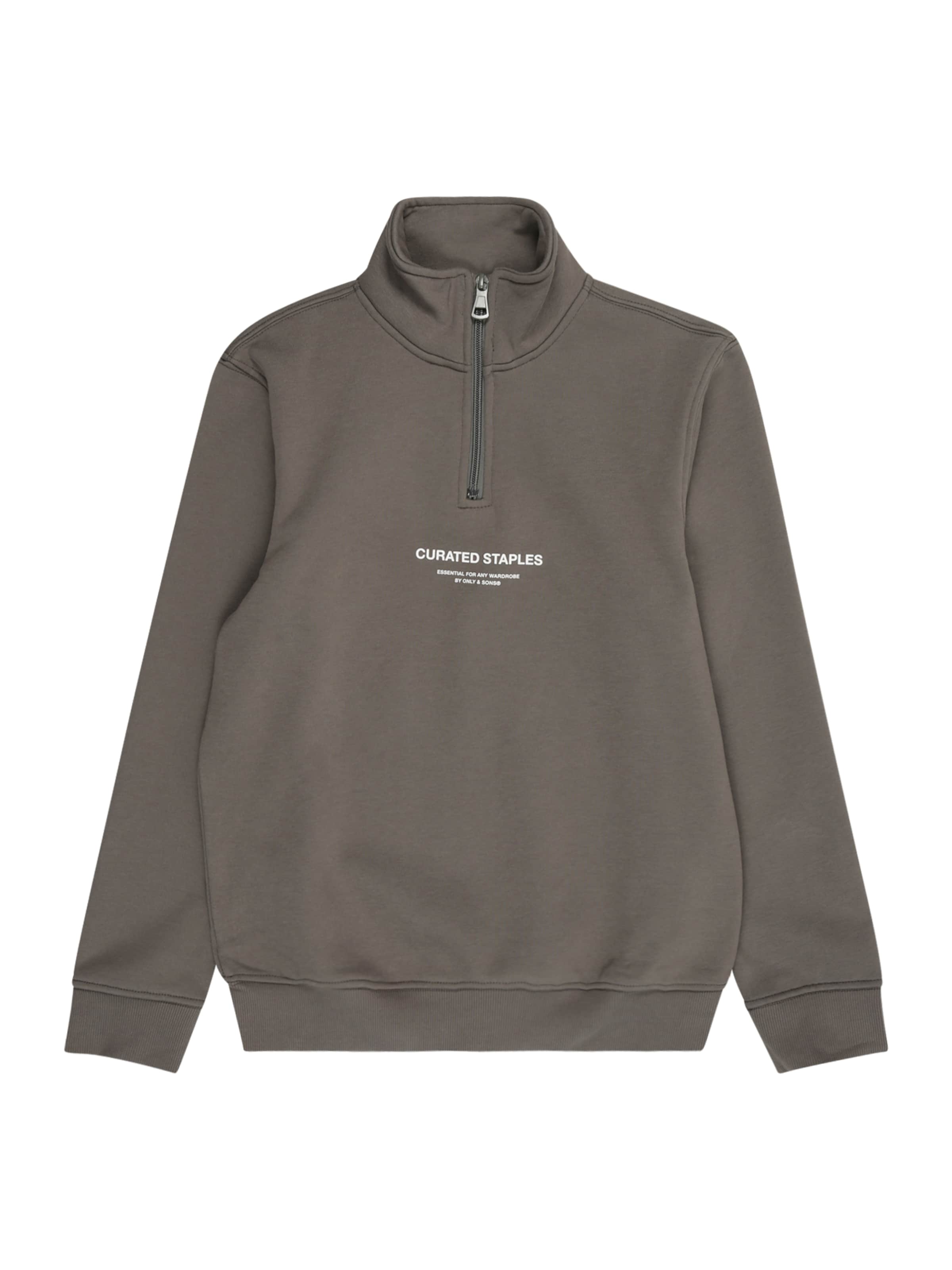 Only & Sons Junior Sweatshirt 'OSJCURATED' i grå: forside