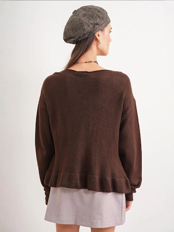 Pullover di MixRay in marrone