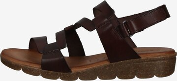 COSMOS COMFORT Sandalen met riem in Bruin