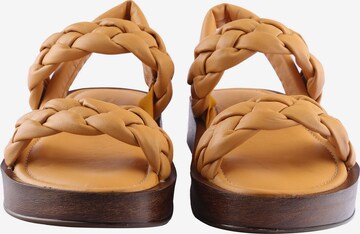 D.MoRo Shoes Sandale 'Avipola' in Gelb