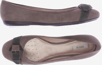 GEOX Flats & Loafers in 38 in Brown: front