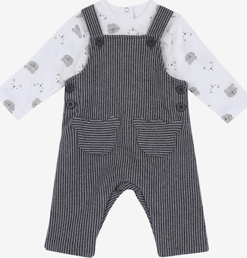 Chicco Setti värissä harmaa: etupuoli