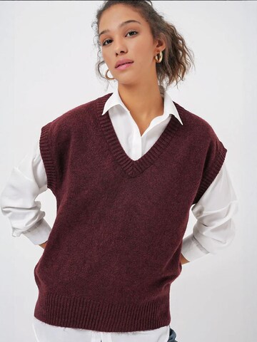 Bigdart Bodywarmer in Rood: voorkant