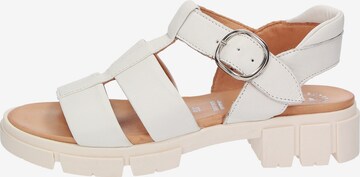 SIOUX Strap Sandals 'Ronila' in White