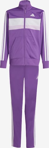 ADIDAS SPORTSWEAR - Chándal en lila: frente
