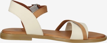 ILC Strap Sandals in Beige