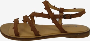 EL NATURALISTA Strap Sandals in Brown