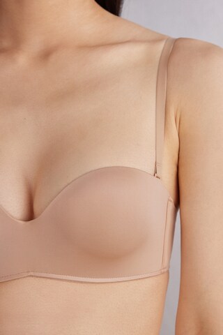INTIMISSIMI Bandeau BH in Beige