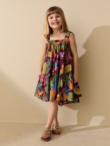 Next Jurk in Gemengde kleuren