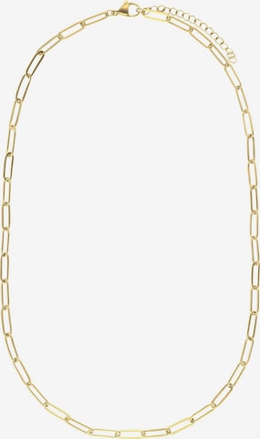 Lucardi Necklace in Gold: front