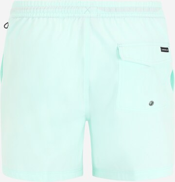 QUIKSILVER Surffishortsit 'SURFSILK VLY 16' värissä sininen