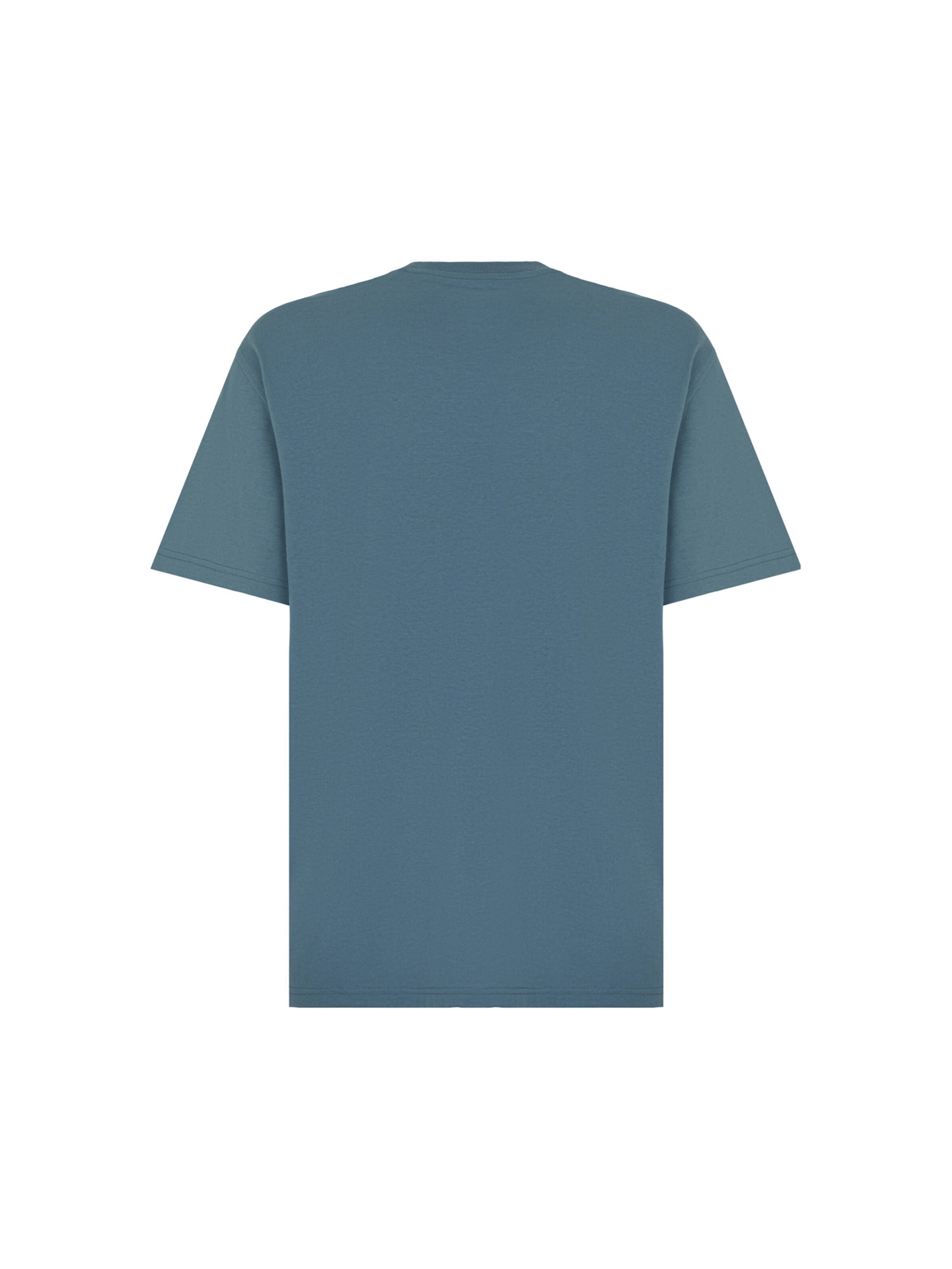 DICKIES Bluser & t-shirts i grøn