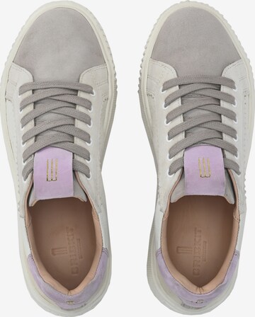 Crickit Sneakers 'Juna' in Grey