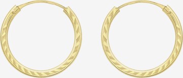 Lucardi Earrings in Gold: front