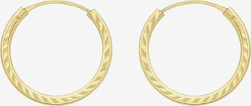 Boucles d'oreilles Lucardi en or : devant