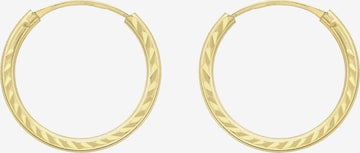 Lucardi Earrings in Gold: front