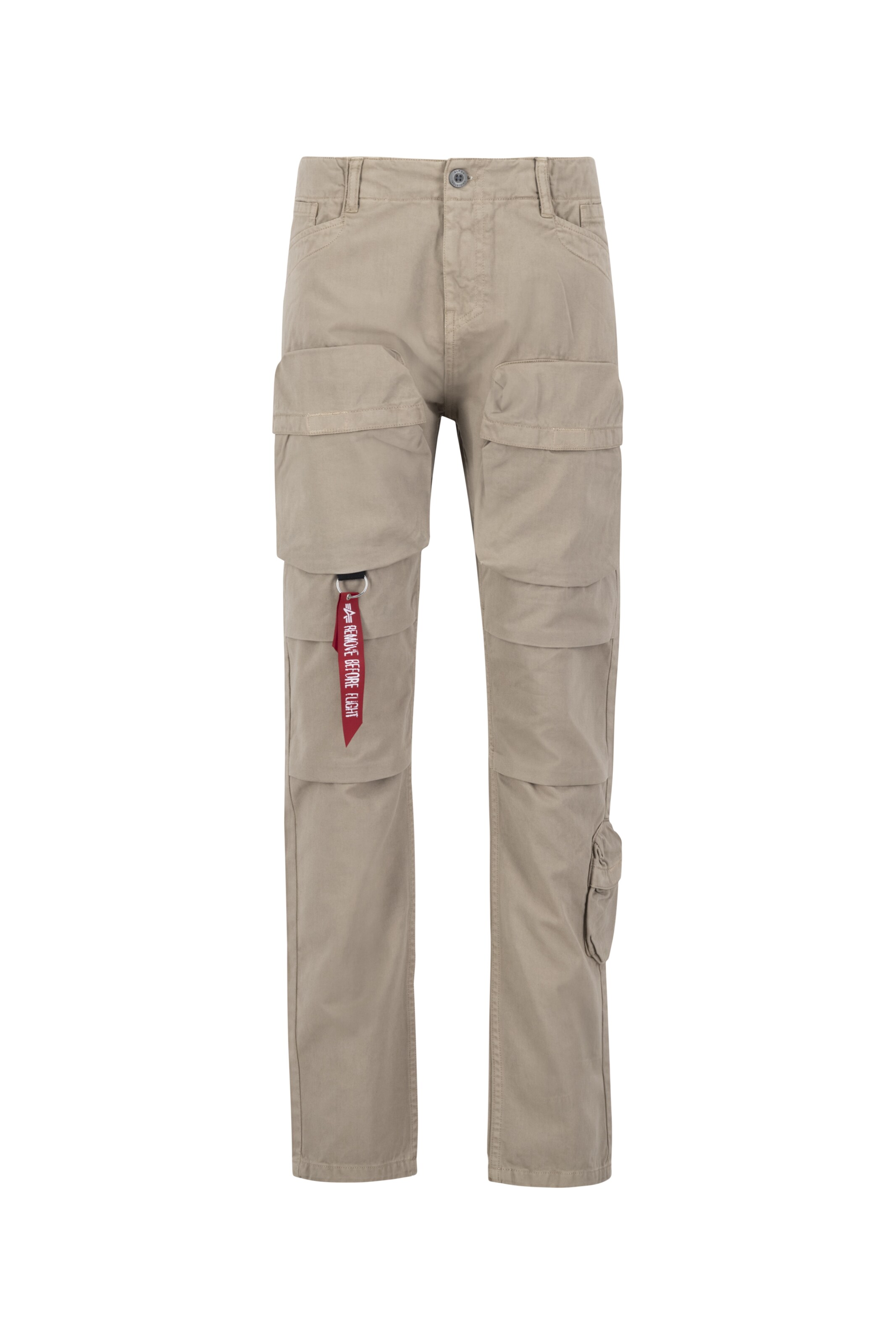 Pantaloni cargo di ALPHA INDUSTRIES in beige: frontale
