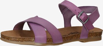 COSMOS COMFORT Sandals in Purple: front