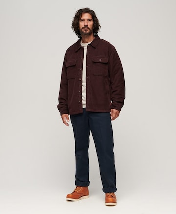 Superdry Tussenjas in Bruin