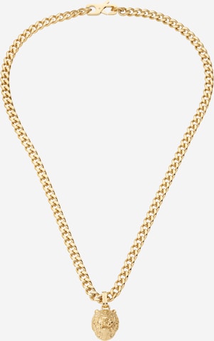 GUESS Necklace in Gold: front