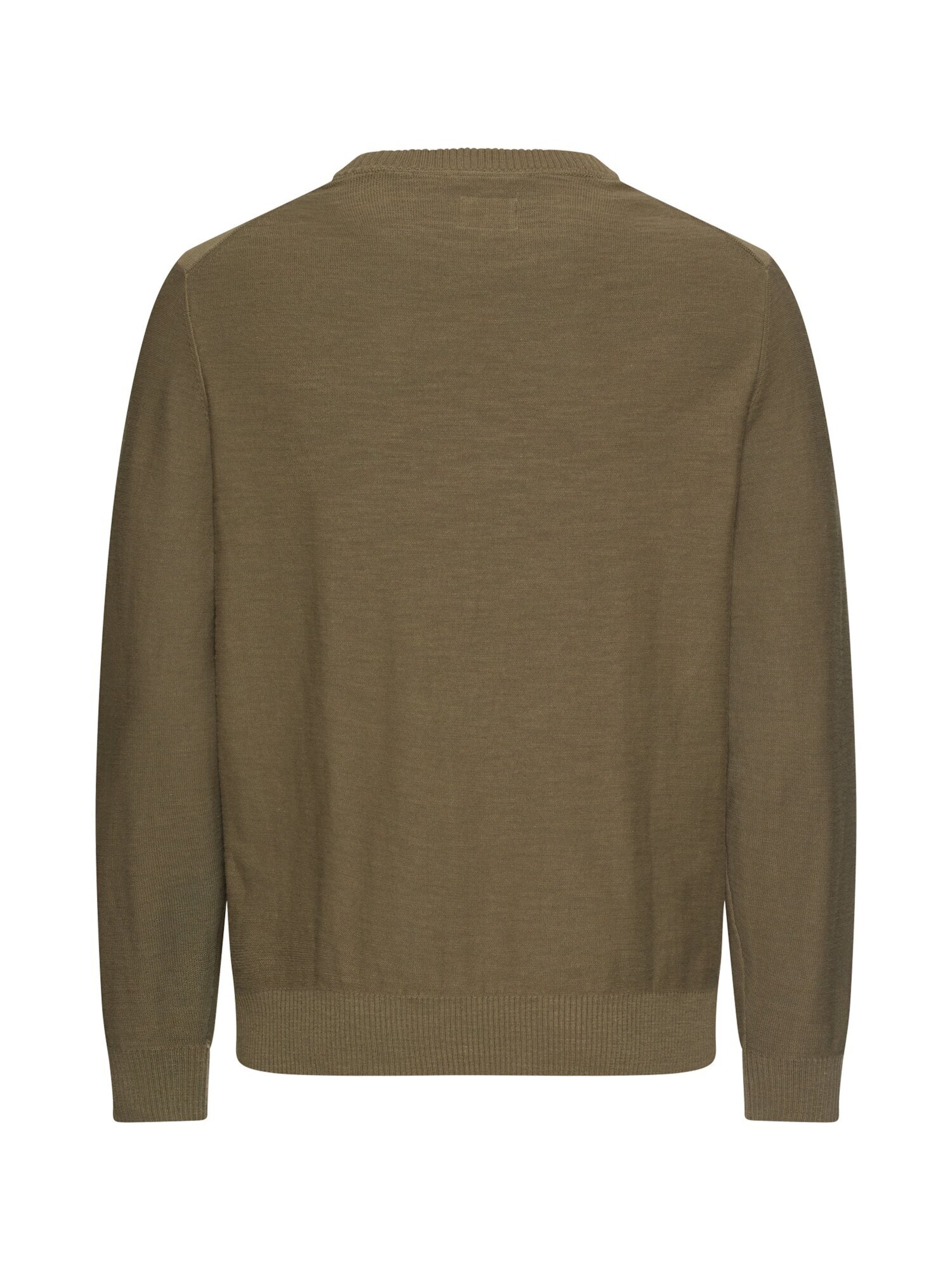 CAMEL ACTIVE Pullover in Grün