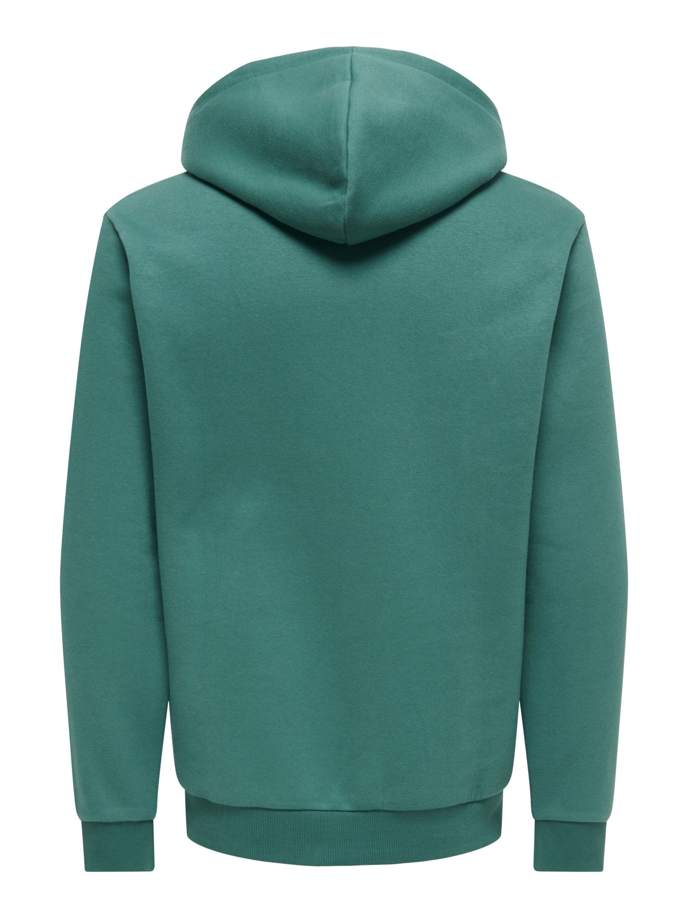 Only & Sons Regular fit Sweatshirt 'ONSCeres' in Green