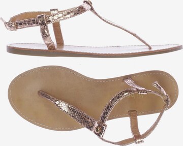 Simply Be Sandalen 38 in Gold: predná strana