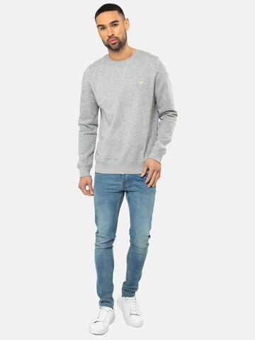 Threadbare Sweatshirt 'Satsuma' in Grey