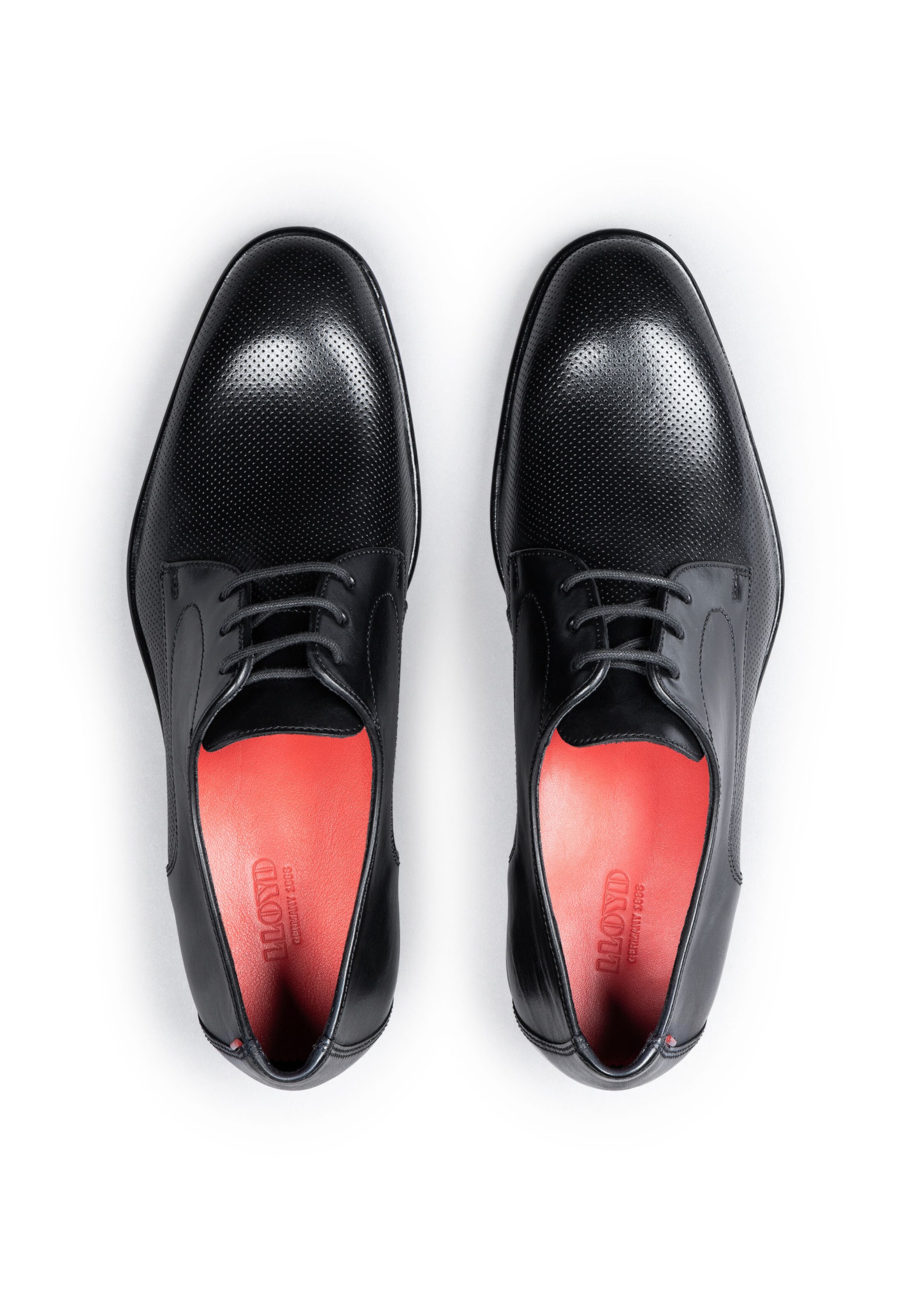 LLOYD Schnürschuh 'RAPPORT' in Schwarz