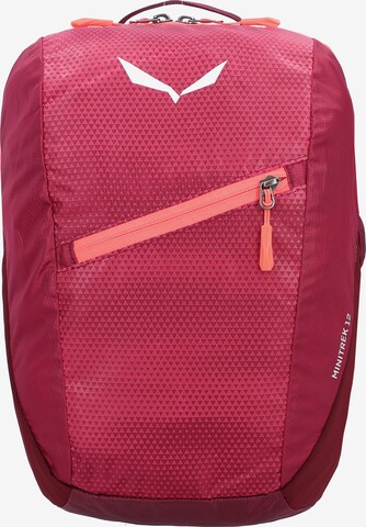 SALEWA Sports Backpack in Pink