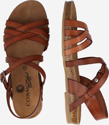 COSMOS COMFORT Sandalen met riem in Bruin