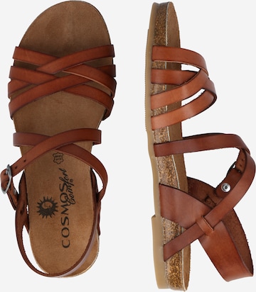 COSMOS COMFORT Sandaler med rem i brun