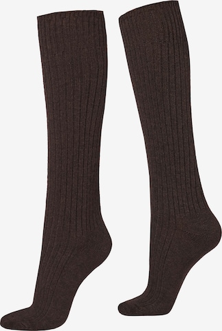 CALZEDONIA Socks in Brown: front