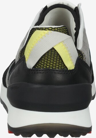 LLOYD Sneakers in Grey