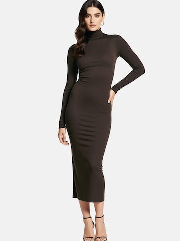 PANTHEROAR Pletena obleka 'High Neck Long Dress' | rjava barva