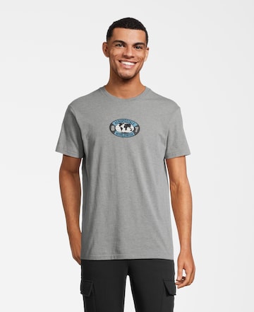 T-Shirt AÉROPOSTALE en gris : devant