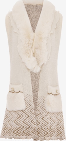 faina Knitted vest in White: front