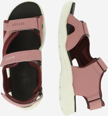 Sandales 'ECCO BIOM RAFT' ECCO en rose