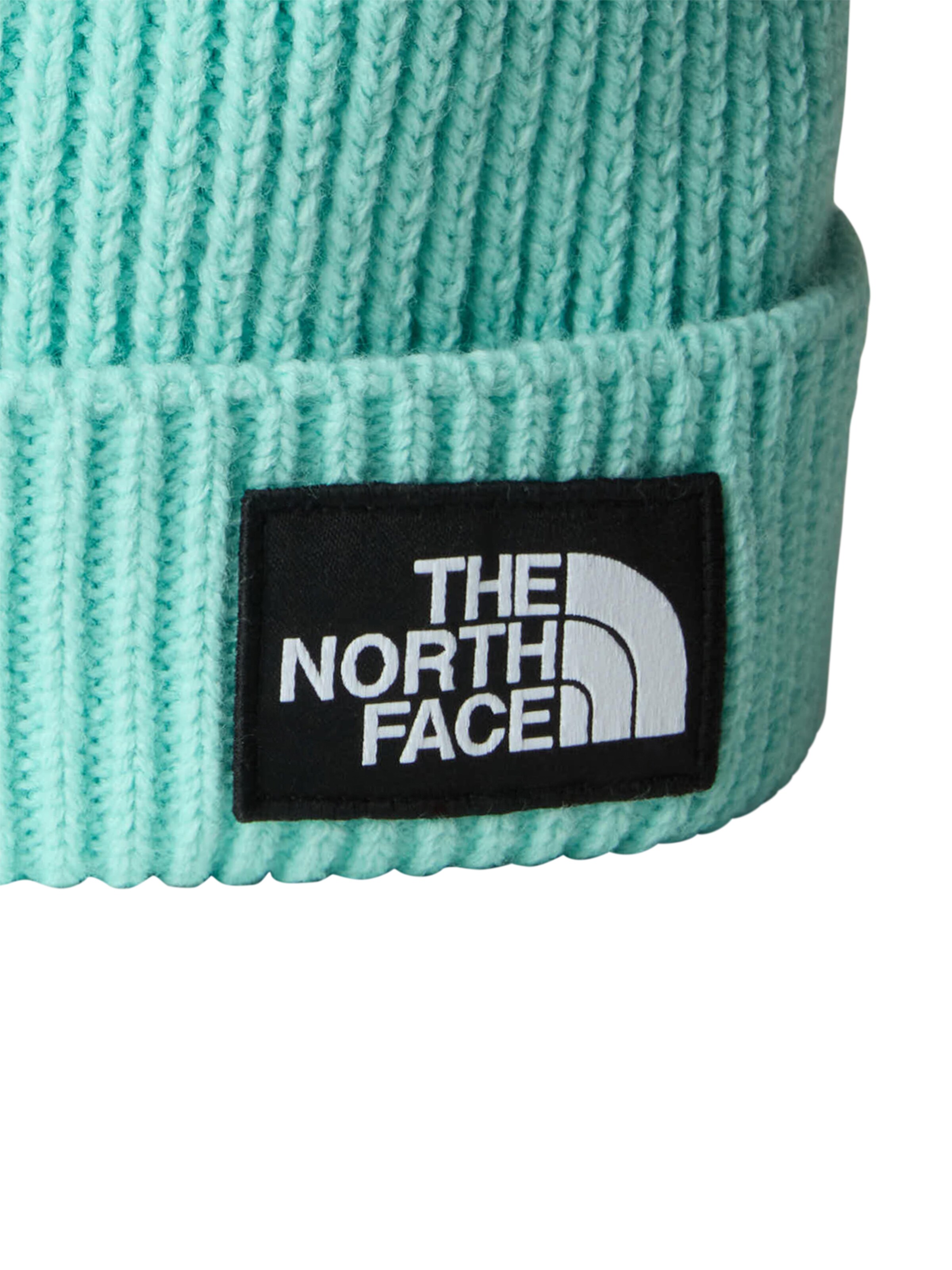 Berretto di THE NORTH FACE in blu
