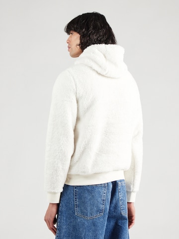 Polo Ralph Lauren Sweater in Beige