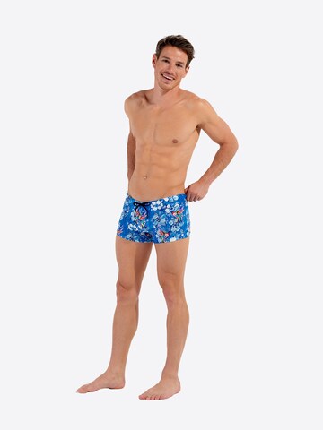HOM Bathing trunks ' Swim Shorts Colibris ' in Blue