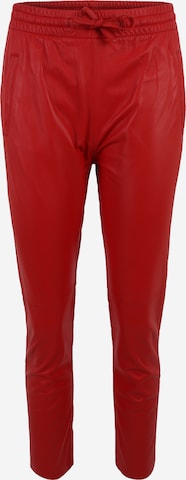 OAKWOOD Broek 'GIFT' in Rood: voorkant